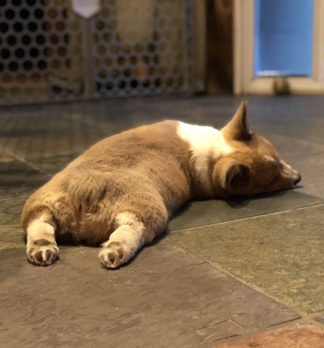 travis as omar; a happy thread