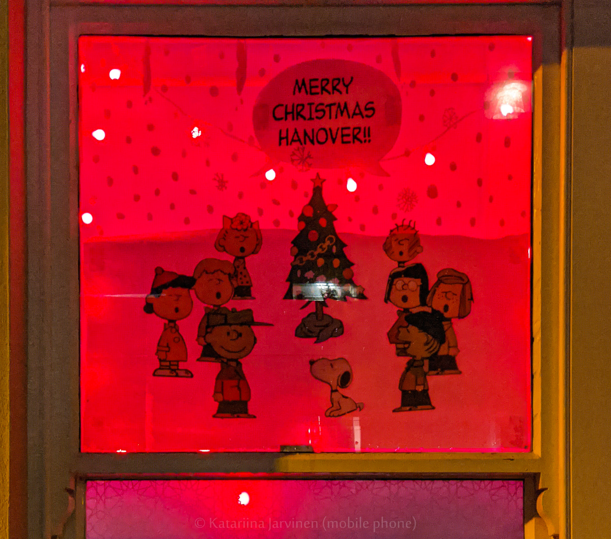 #Brighton Hanover Advent Calendar windows Day 2. Some really beautiful windows on today's streets. #AdventWindows #BrightonHanoverAdventCalendar