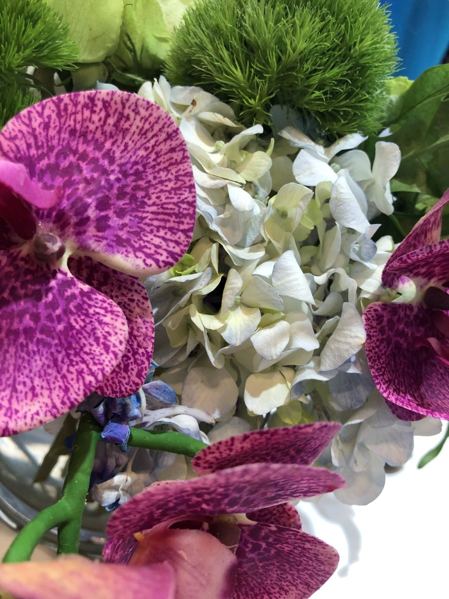 feldstej's tweet photo. #ASH20 #ASH2020 #ASHFromHome #ASHVirtual #ASHTogether #ThursdayThrowback #ASH19 #ASHviews #ASHThrowback #ASHflowers #ASHwellness #ASHwalk https://t.co/pjMZmKSNW2