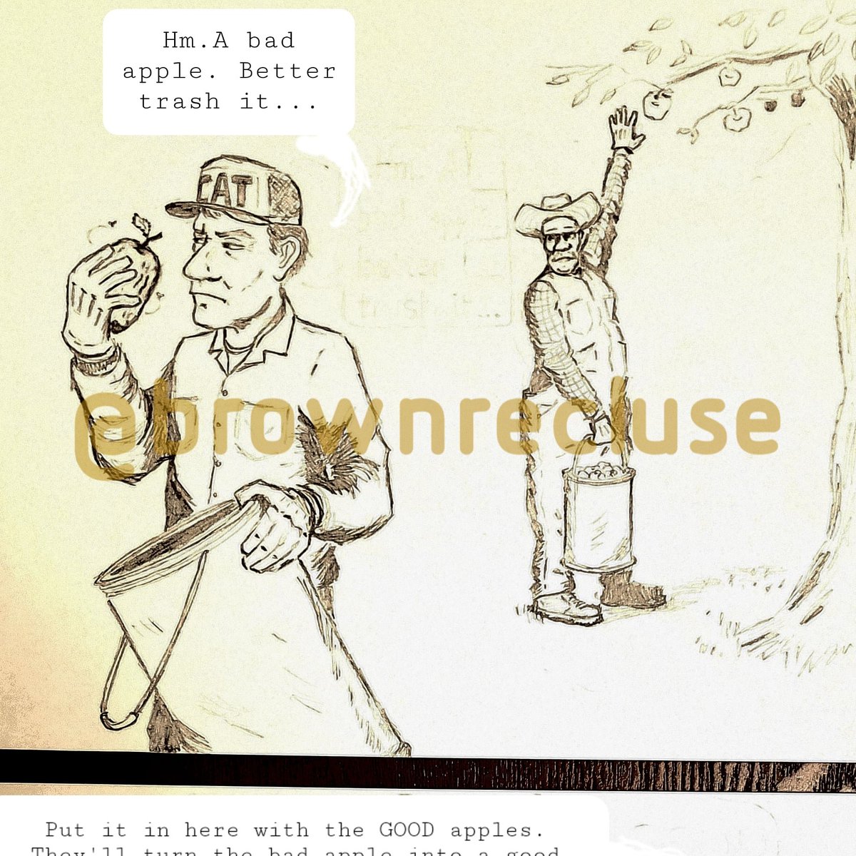 brownrecluse tweet media
