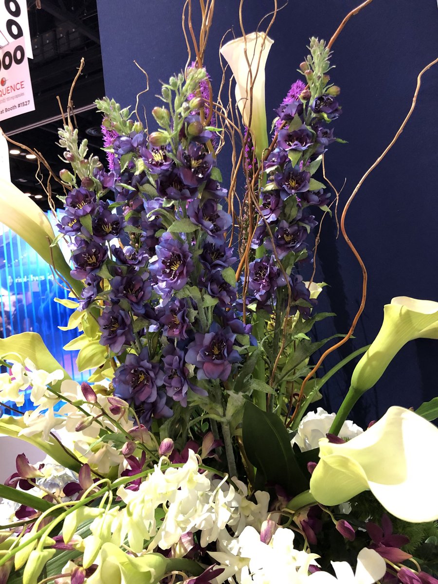 feldstej's tweet photo. #ASH20 #ASH2020 #ASHFromHome #ASHVirtual #ASHTogether #ThursdayThrowback #ASH19 #ASHThrowback #ASHflowers #ASHwalk #ASHwellness https://t.co/5VKsR1C28V