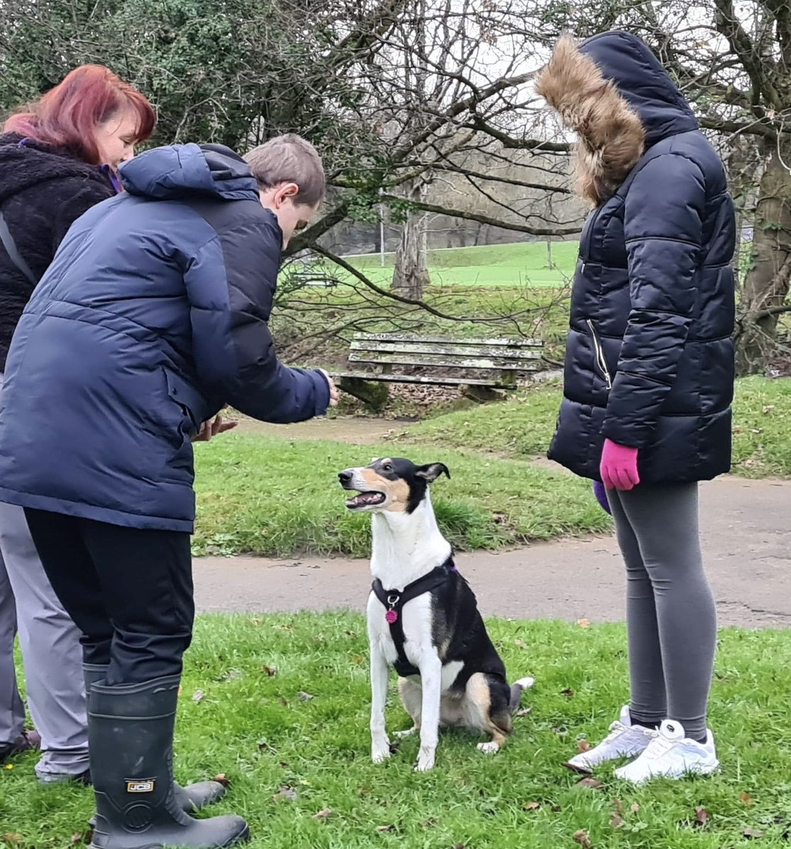 ILSBridgendColl's tweet photo. OCR ILS learners were a little excited to meet their new assistant, Lyra the Smooth Collie. They’ve been learning about Smooth Collies, a Vulnerable British Breed &amp; all about dog care. They ❤️ Lyra &amp; had great fun doing trick training &amp; games. Lyra ❤️ them too 🐾@BridgendCollege https://t.co/xLuvrQzxSa