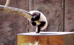 @AngelTemptsYou https://t.co/RizWEmfgx1<a class="tags" href="/tag/angeltemptsyou">@angeltemptsyou</a><a href="/tag/wheresmike"class="tags"><span>#wheresmike</span></a>