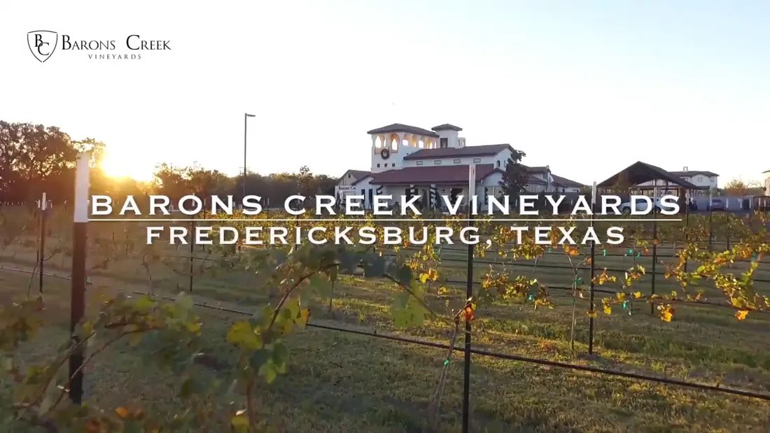 𝖳𝖶𝖨𝖲𝖳𝖤𝖣 𝖡𝖨𝖳𝖢𝖧 𝖢𝖠𝖳𝖳𝖫𝖤 𝖢𝖮 tweet media