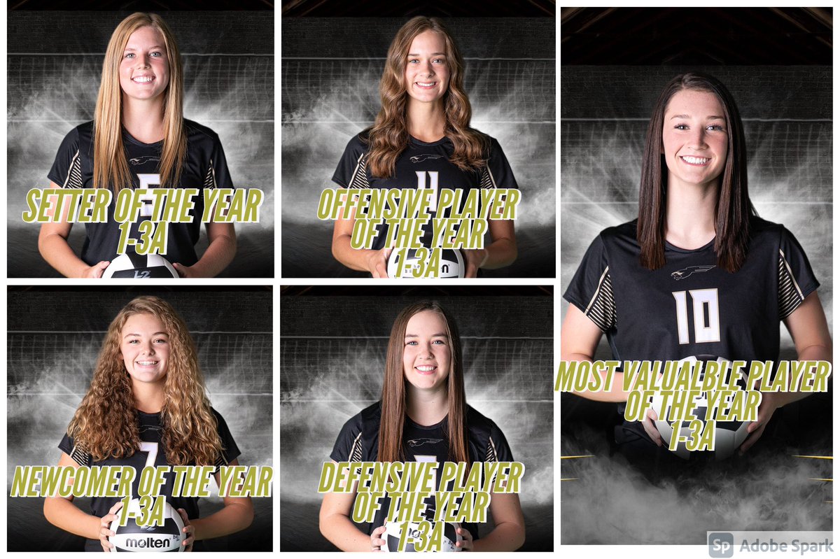 BushlandVolleyball tweet media