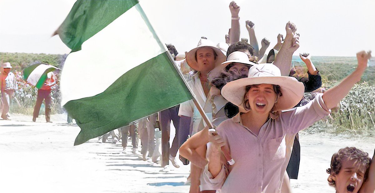 Memê andaluçê ۞💚💜 tweet media