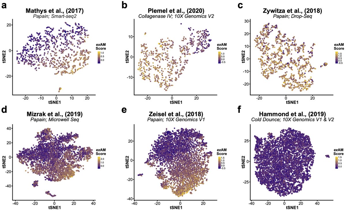 Given how prevalent this signature was in our data we performed reanalysis of several literature datasets across enzymes and seq technologies. All datasets exhibited significant ex vivo activation in microglia/myeloid pops except our previous cold Dounce study 13/n
