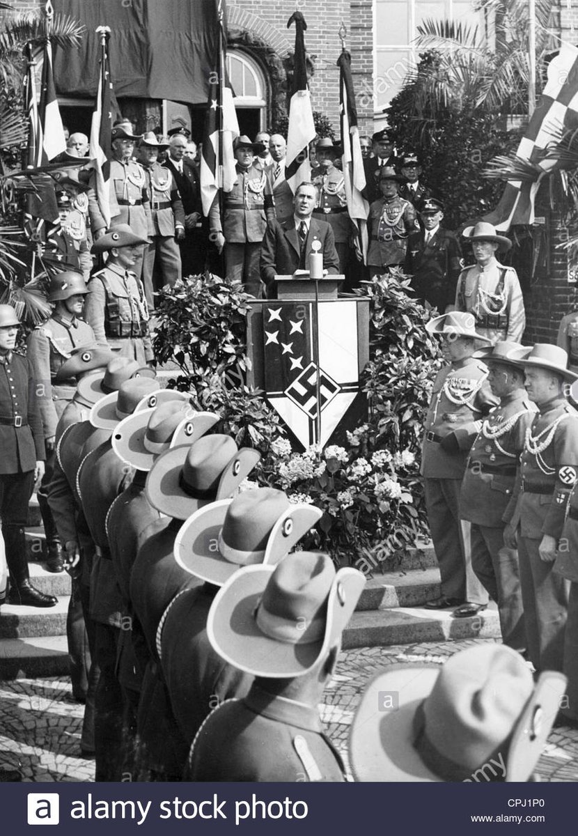 The Reichskolonialbund had it's own youth organization (the "Colonial Youth") and paramilitary wing, both sections of the NSDAP. Their uniforms were explicitly designed to copy those of the German Empire.