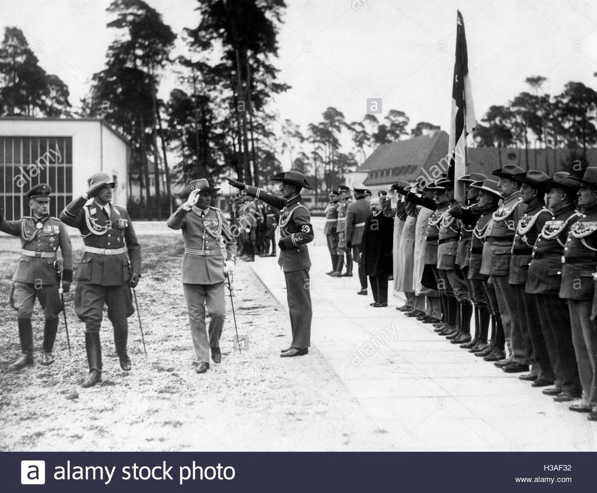 The Reichskolonialbund had it's own youth organization (the "Colonial Youth") and paramilitary wing, both sections of the NSDAP. Their uniforms were explicitly designed to copy those of the German Empire.