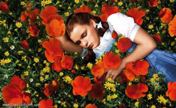 (And both titles, for what it’s worth, put me in mind of the use of flowers/poppies as a sleeping agent in Lynch’s beloved THE WIZARD OF OZ.)