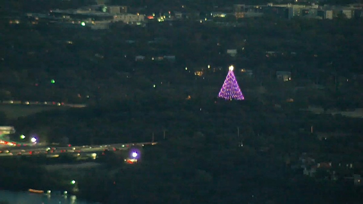 averytomascowx's tweet photo. 👋 Hi there, distant beacon of hope and joy. Lookin' flawless as always #ZilkerTree https://t.co/ASqFq3lAi0