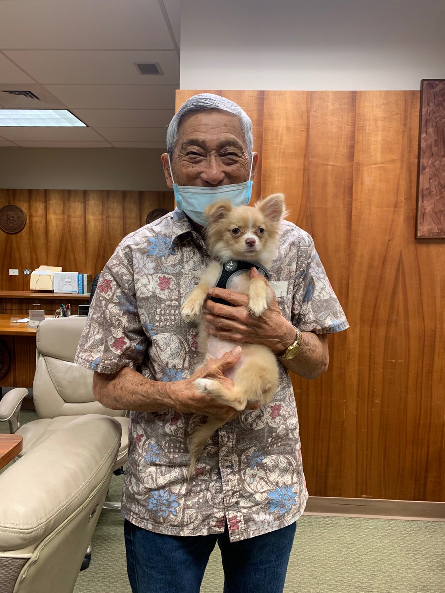 I had a little visitor today as I was packing up my office.  Hilo Boy is a pomeranian/papillon puppy that is the center of attention everywhere he goes.  UH-Manoa student Hoku Carter, a dear friend of the family, is Hilo Boy's proud mama.