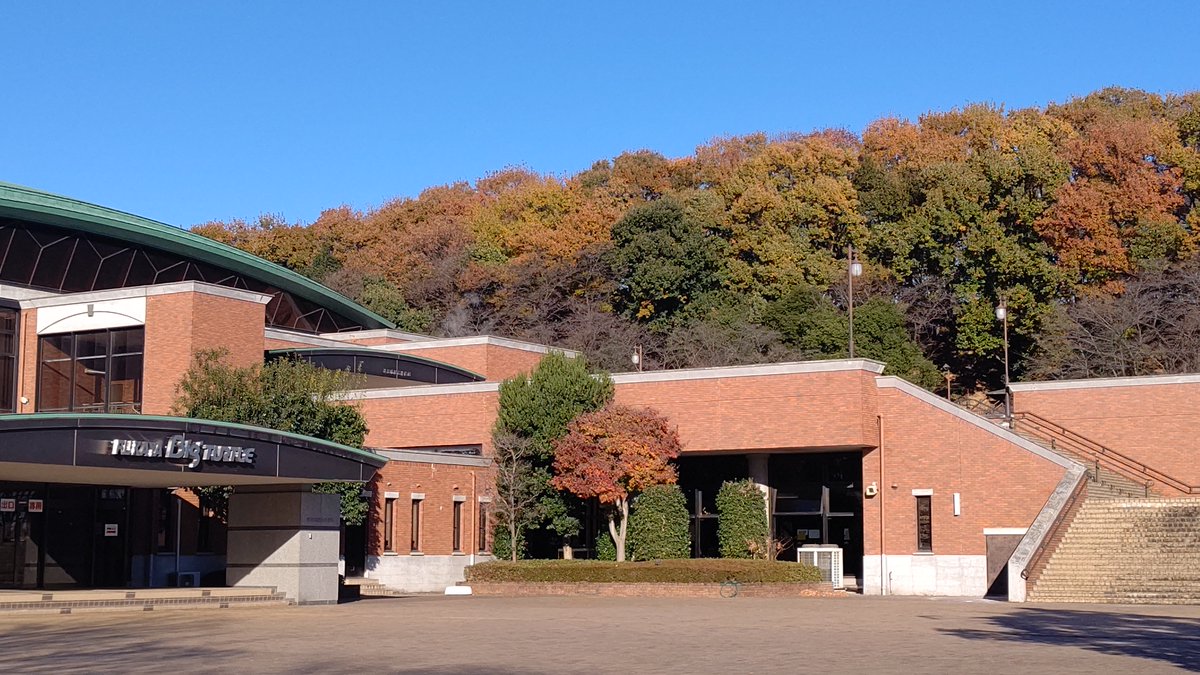 公益財団法人深谷市地域振興財団 深谷ビッグタートルより おはようございます 今朝のビッグタートル周辺の様子です お天気がよさそうです 落ち葉の中を サクサク歩くのもいいかもしれませんね 今日も よろしくお願いいたします
