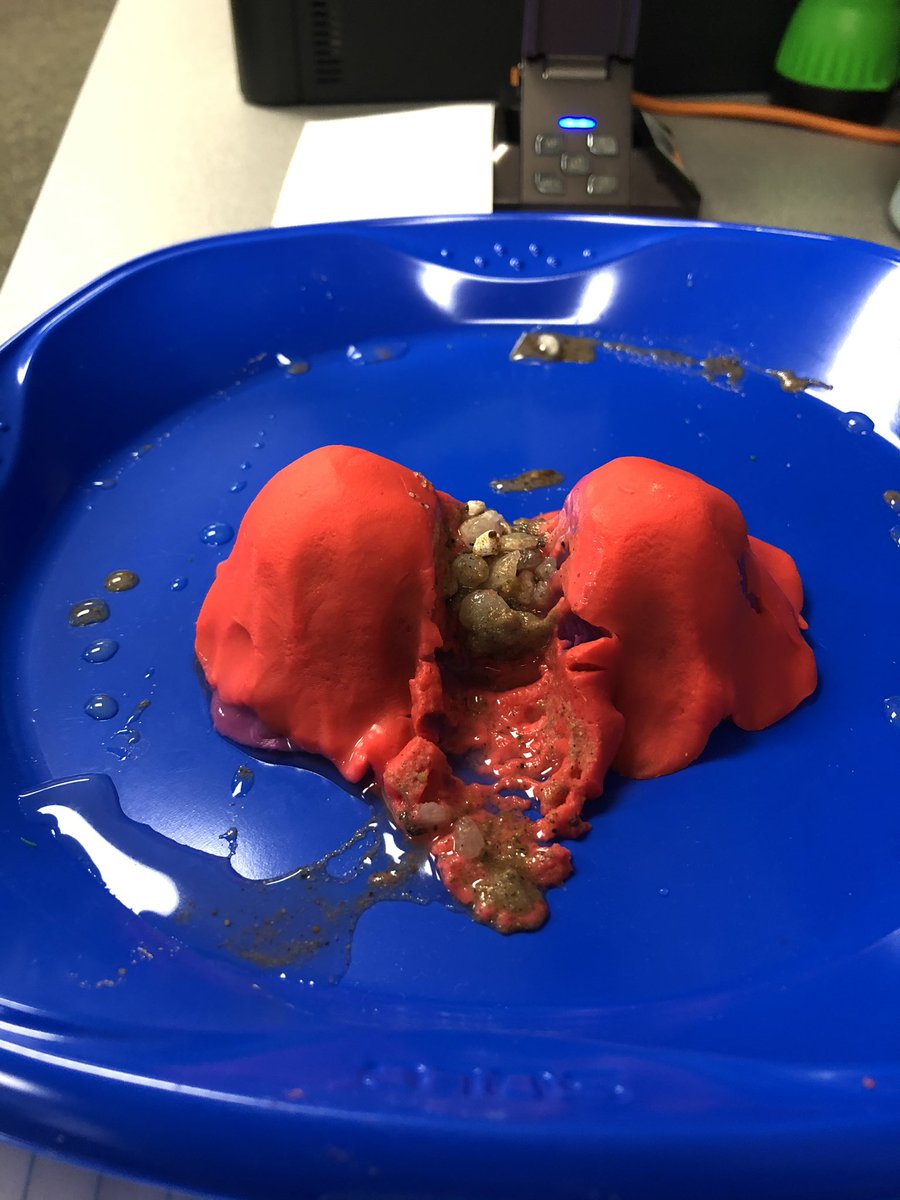 Canyons, deltas and sand dunes, oh my!! Studying how wind, water and ice can create landforms and change the land. <a href="/marco7375/">Marco Lopez</a> <a href="/malynn_r/">Malynn</a> #GoOKEKoalas