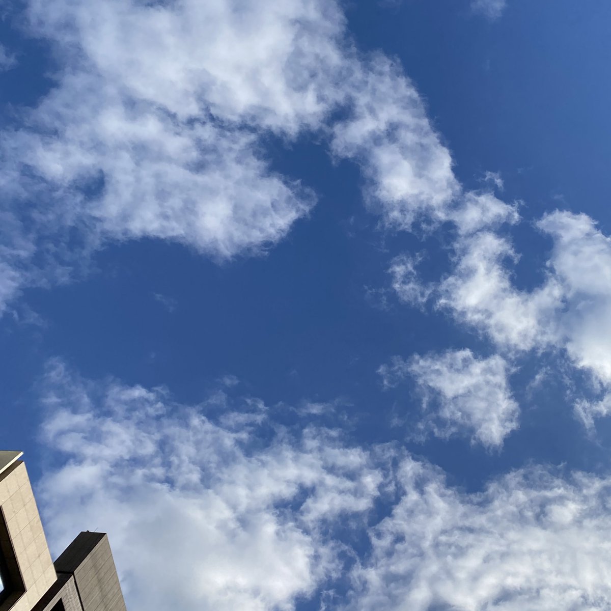 おはようございます☀
今日はとってもいい天気🎵

寒いけど気持ちの良い朝でテンション高めです😆

今日も良い1日を🍀✨
#イマソラ
#おは戦21204dk