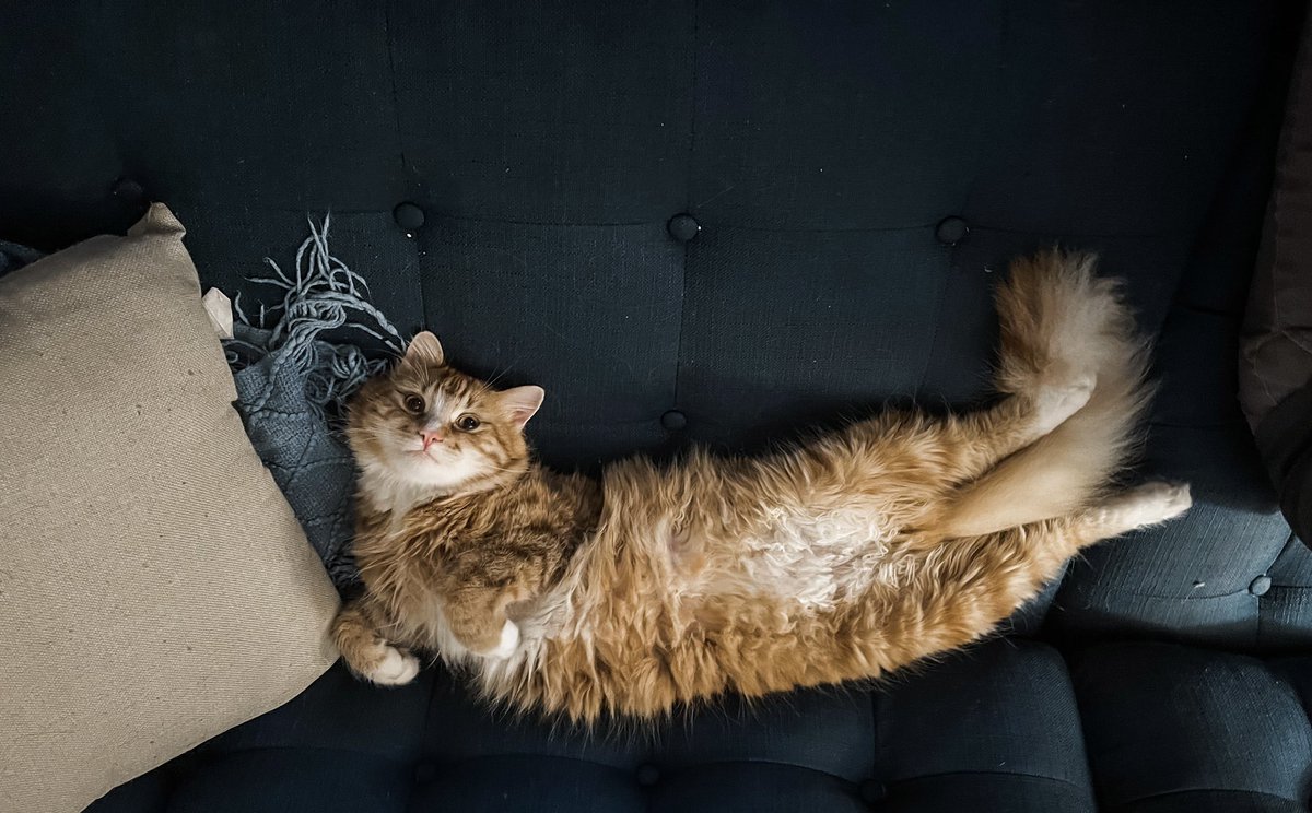 clave cuthbert tweet media