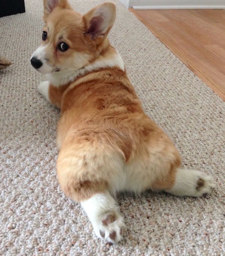 Carolyn Williams tweet media