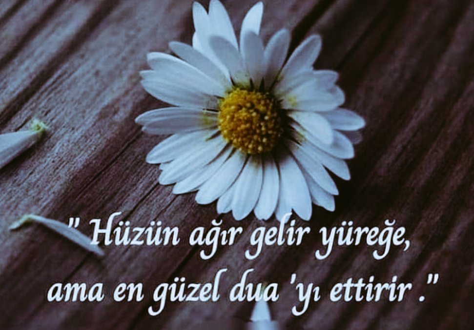 1zyn0's tweet photo. "Hüzün ağır gelir yüreğe, ama en güzel dua' yı ettirir." #hayirlicumalar #CumamızMubarekOlsun https://t.co/aGUxctX2Yz