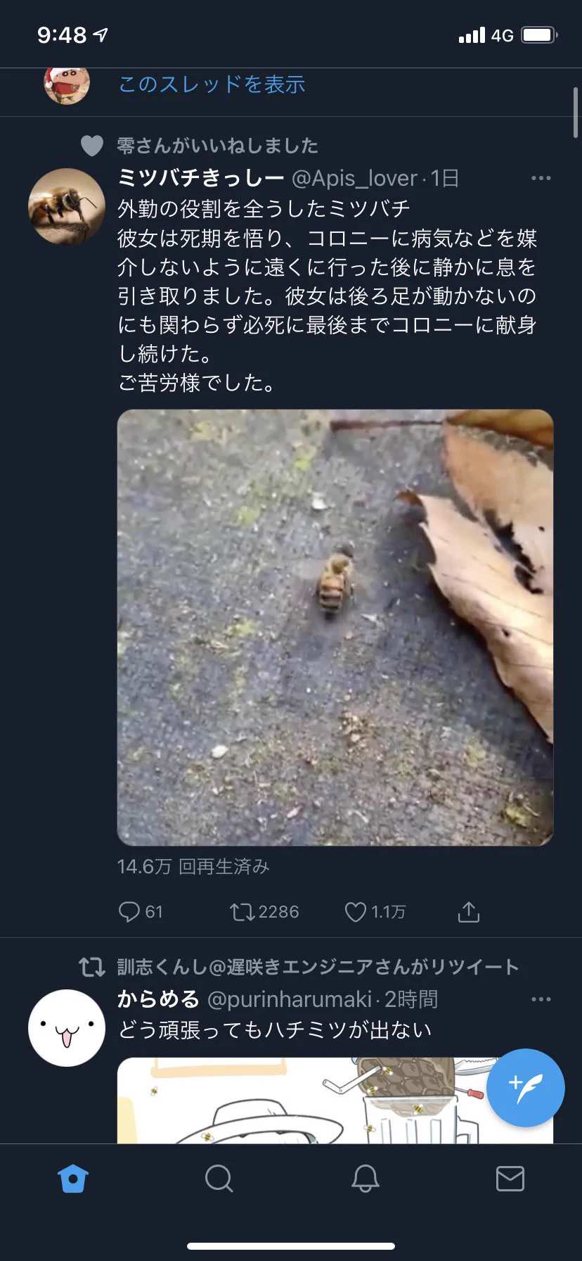 @purinharumaki これから逃げてきたか、、、 