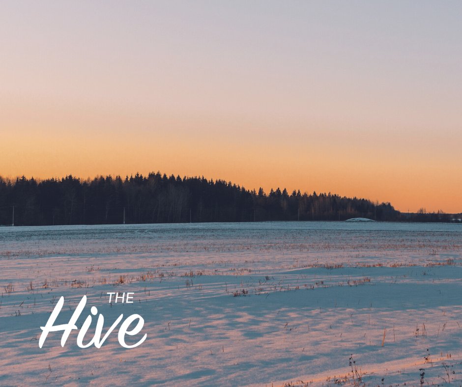 Troy Bronsink tweet media