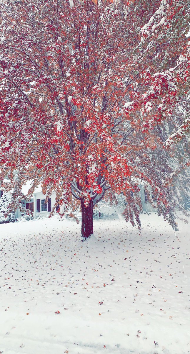 Post some non filtered nature photos you took in the last few months. Lets get some more calm on here.