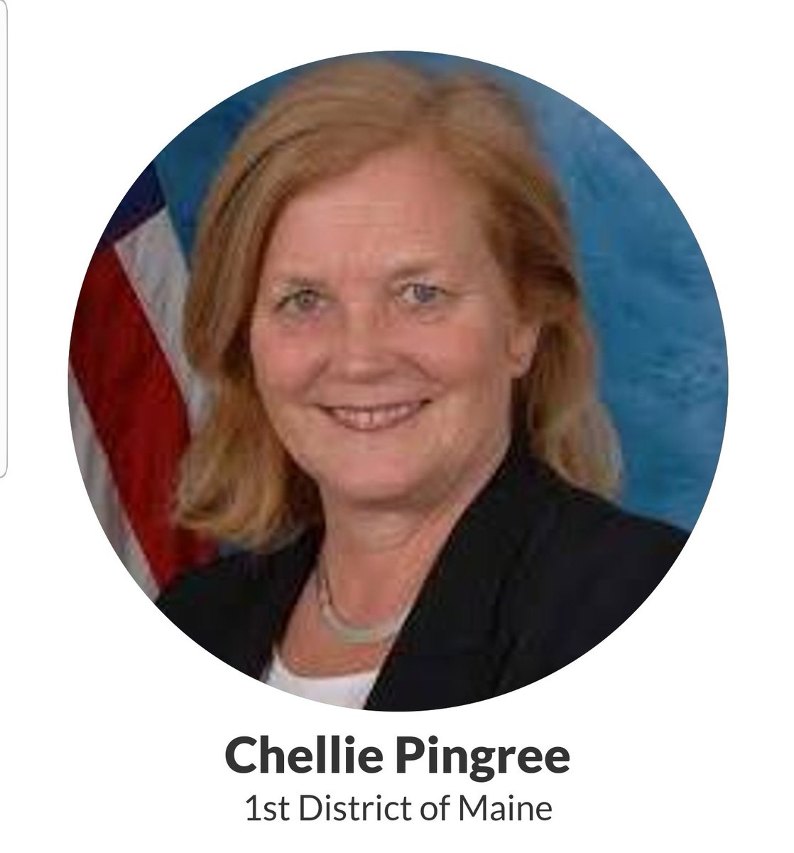 Chellie Pingree, Maine's 1st District https://pingree.house.gov/ 41/98
