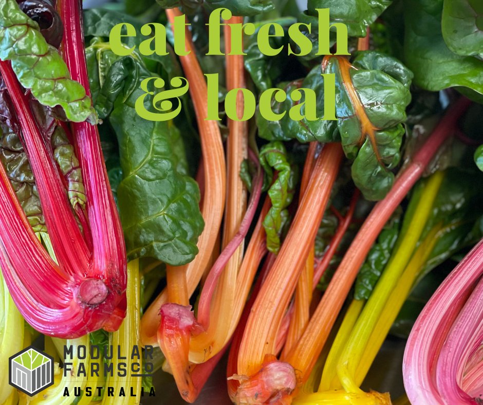 Modular Farms AU tweet media