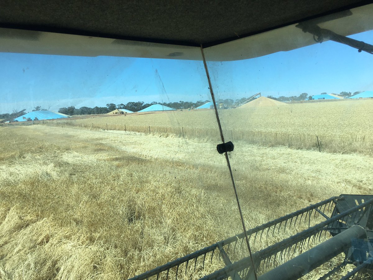 Grain Corp doesn’t get much closer