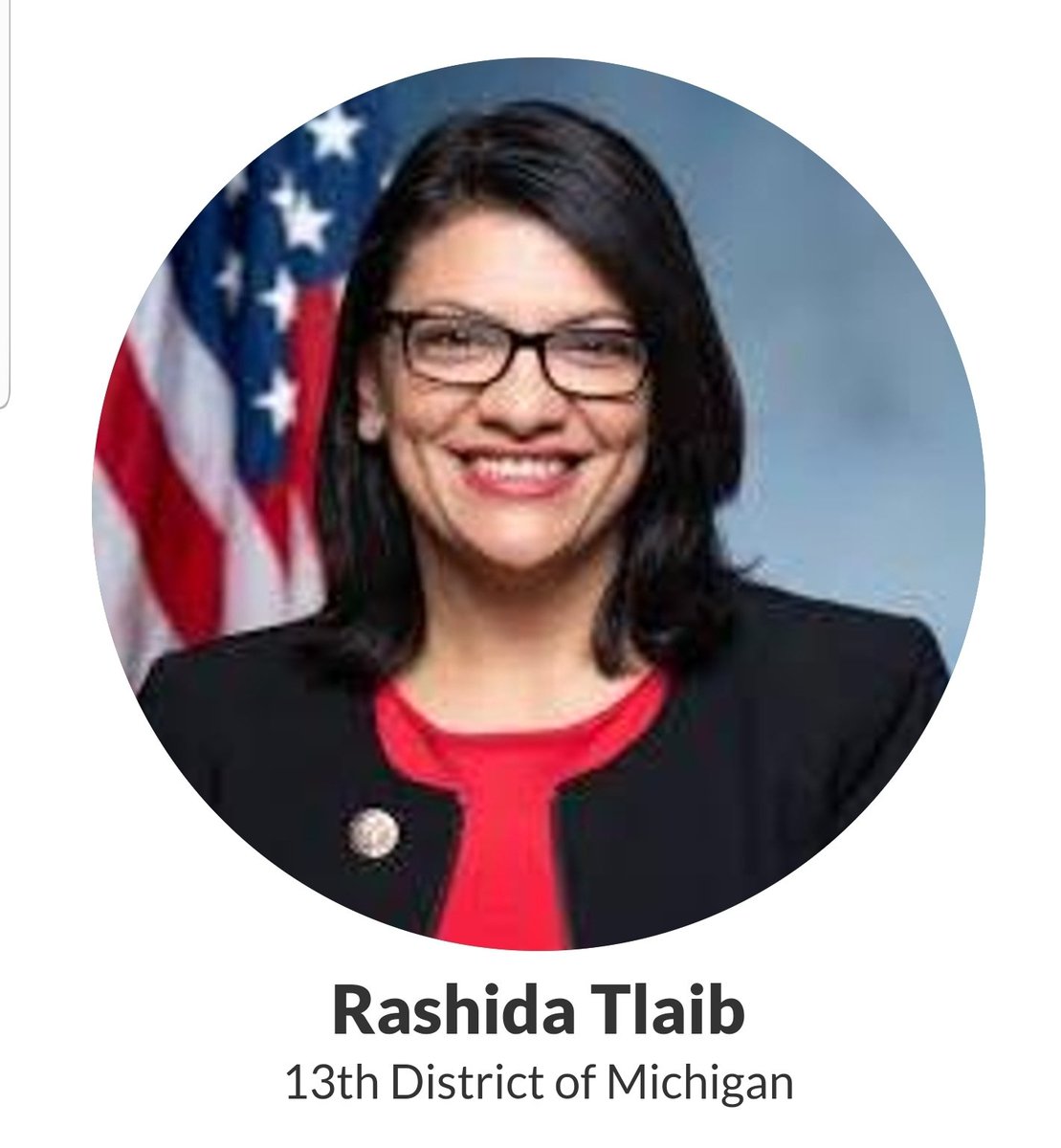 Rashida Tlaib, Michigan's 13th District https://tlaib.house.gov/&nbsp;51/98