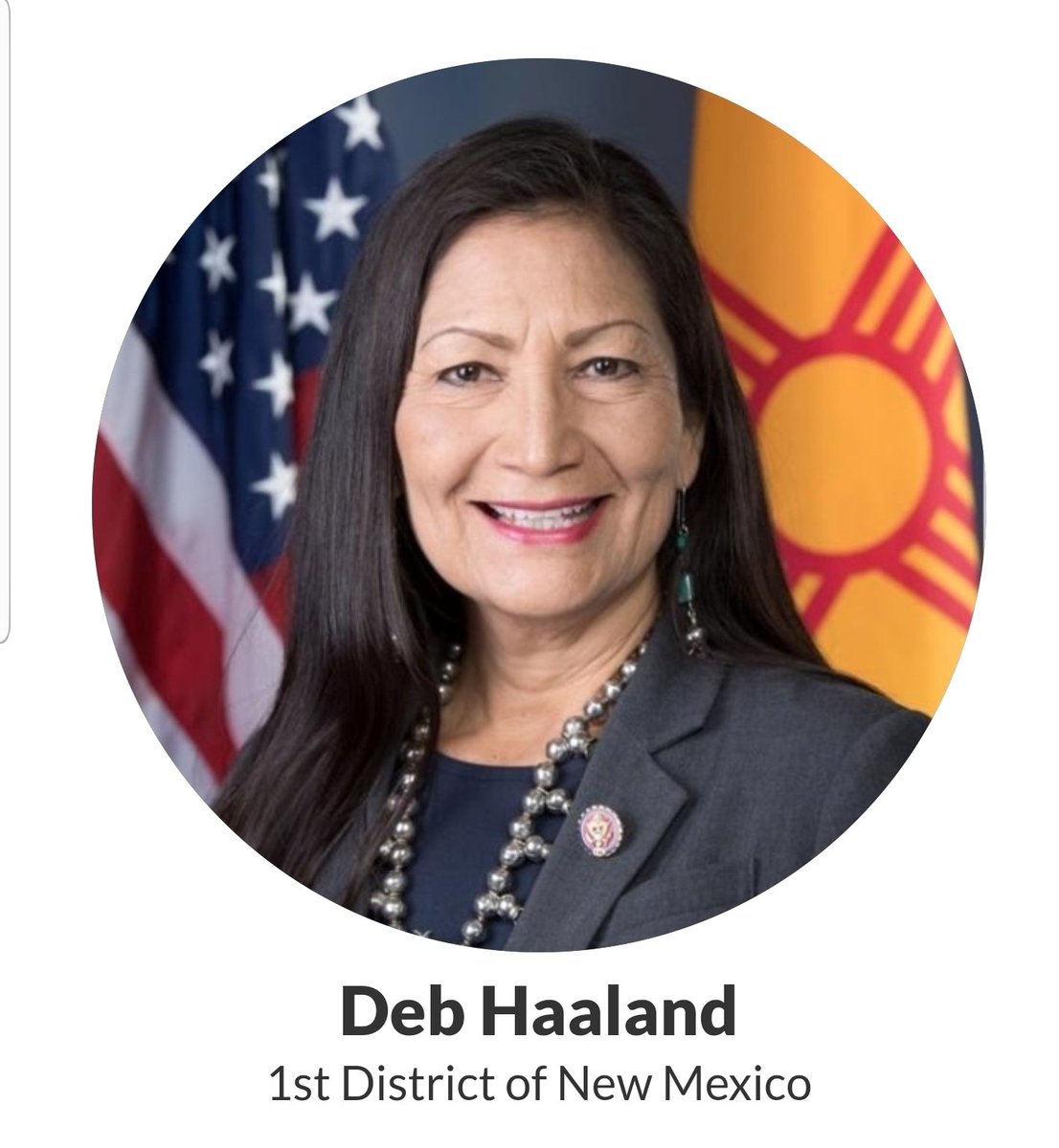 Deb Haaland, New Mexico's 1st District https://haaland.house.gov/ 62/98