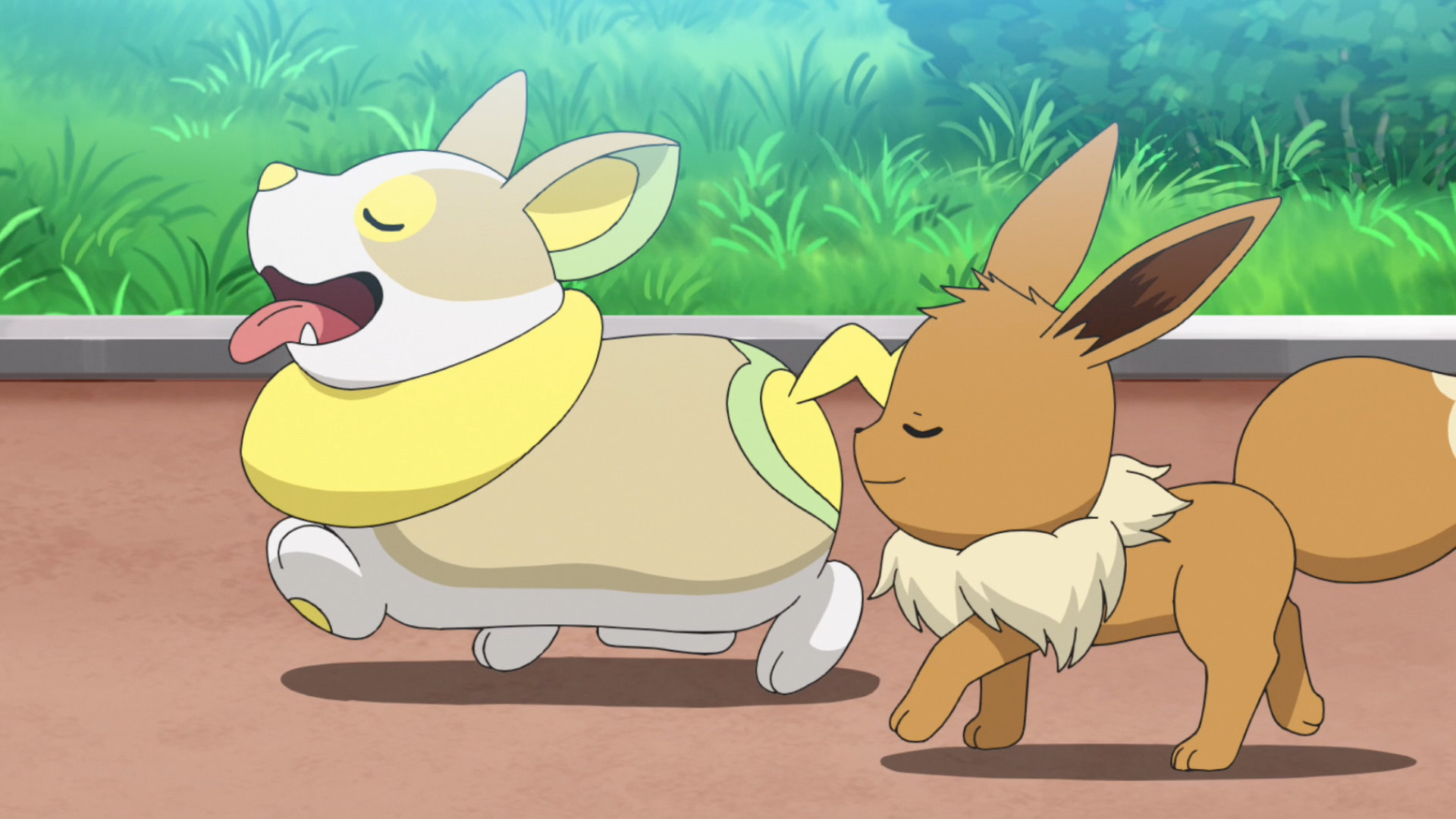 公式 プロジェクトイーブイ 続 来週 12月11日 金 放送のアニメ ポケットモンスター にイーブイが登場するよ 今日は先行してイーブイの登場シーンをご紹介 金曜よる6時55分からテレビ東京系にて放送中 みんなもいっしょにみないーぶい 公式 プロジェクトイーブイ 続 来週 12月11日 金 放送のアニメ ポケットモンスター にイーブイが登場するよ 今日は先行してイーブイの登場シーンをご紹介 金曜よる6時55分からテレビ東京系にて放送中 みんなもいっしょにみないーぶい