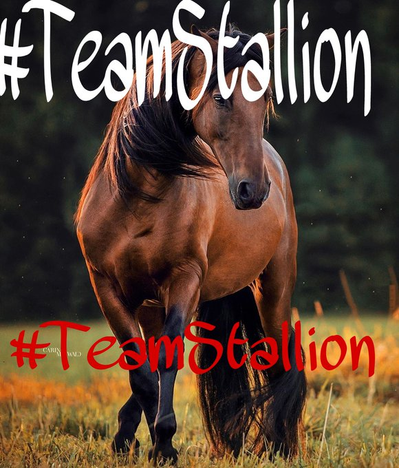 <a href="/MarEthr/">👉 Mark 28K 😜👇</a>
Follow my friends
<a href="/italianostyle2/">Frankie D....TEAMSTALLION</a>
<a href="/SueliRizzi3/">Sueli Rizzi 🌻🇧🇷</a>
<a href="/lexi_somerton/">Lexi</a>
<a href="/MarEthr/">👉 Mark 28K 😜👇</a>
<a href="/ME_1b/">MarkE</a>
<a href="/ElisaElisa110/">Elisa Arana</a>
@ysm_tzn
<a href="/iTeamShaz/">Follow #TeamShaz</a>
@_Daisy_Luv
<a href="/HafisSapardi/">madridista</a>
<a href="/ygmr18_/">yağmur</a>
<a href="/DannaGarciaFan/">DannaGarciaFanS</a>
<a href="/aryn241/">Aryan</a>
<a href="/boisrenard/">Pamela</a>
#TEAMSTALLION #family