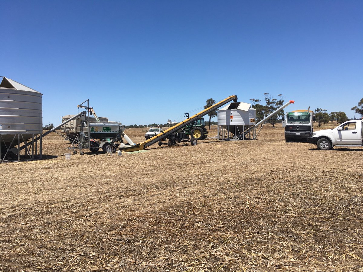 Have to shift all@this soon when we move to next block with tares. Happy days #harvest2020