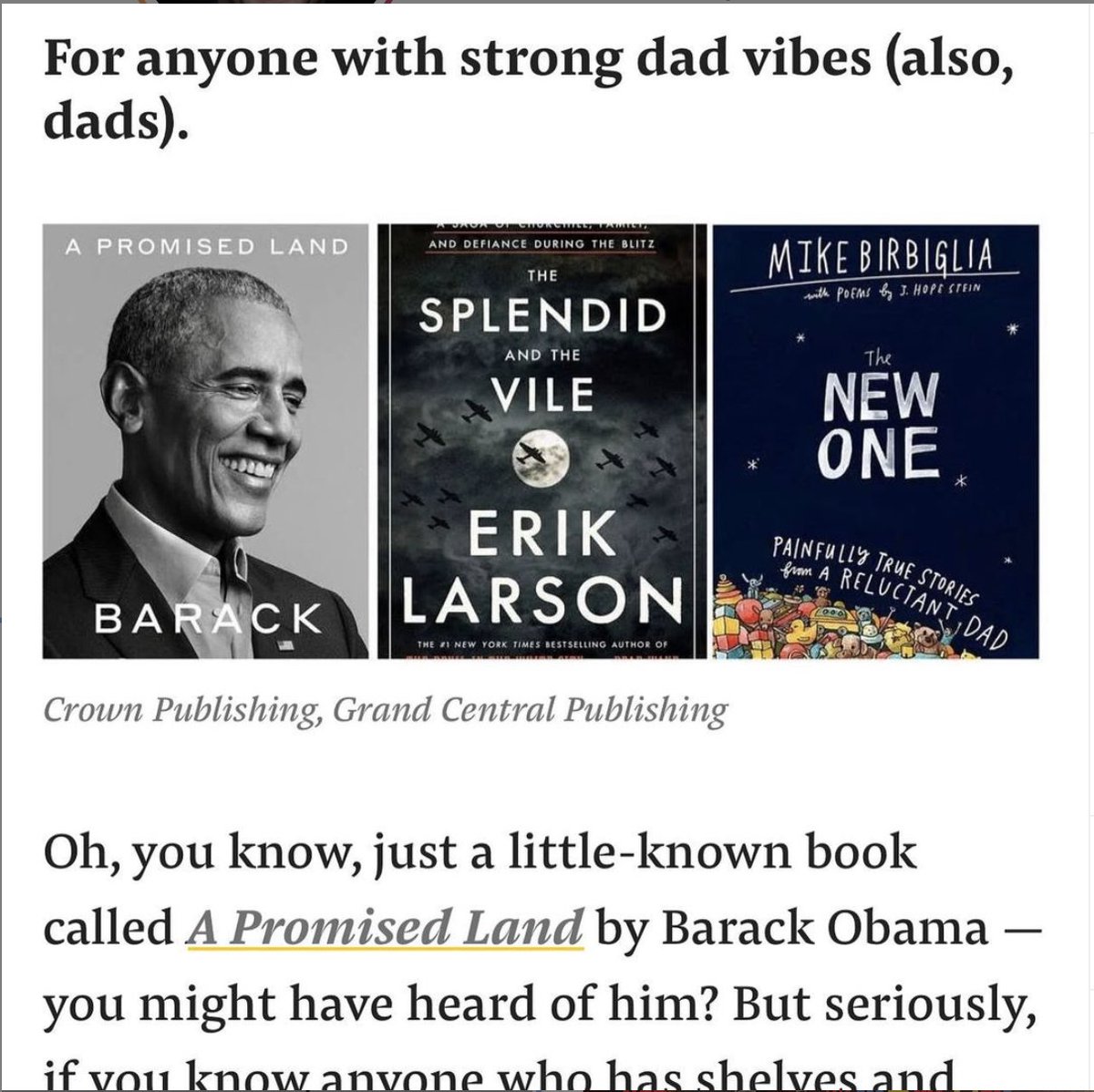 birbigs's tweet image. Sources say Barack Obama has seen the “dad vibes” category of the @buzzfeedbooks holiday gift list and HE WILL NOT CONCEDE that my book has stronger "dad vibes." I will update this story as it develops. 

buzzfeednews.com/article/cierav…