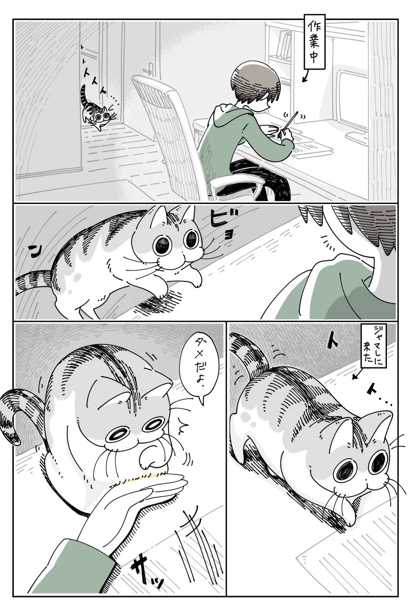 思惑通りにならないところもまた可愛い！作業を巡る、猫との攻防を描いた癒し漫画！