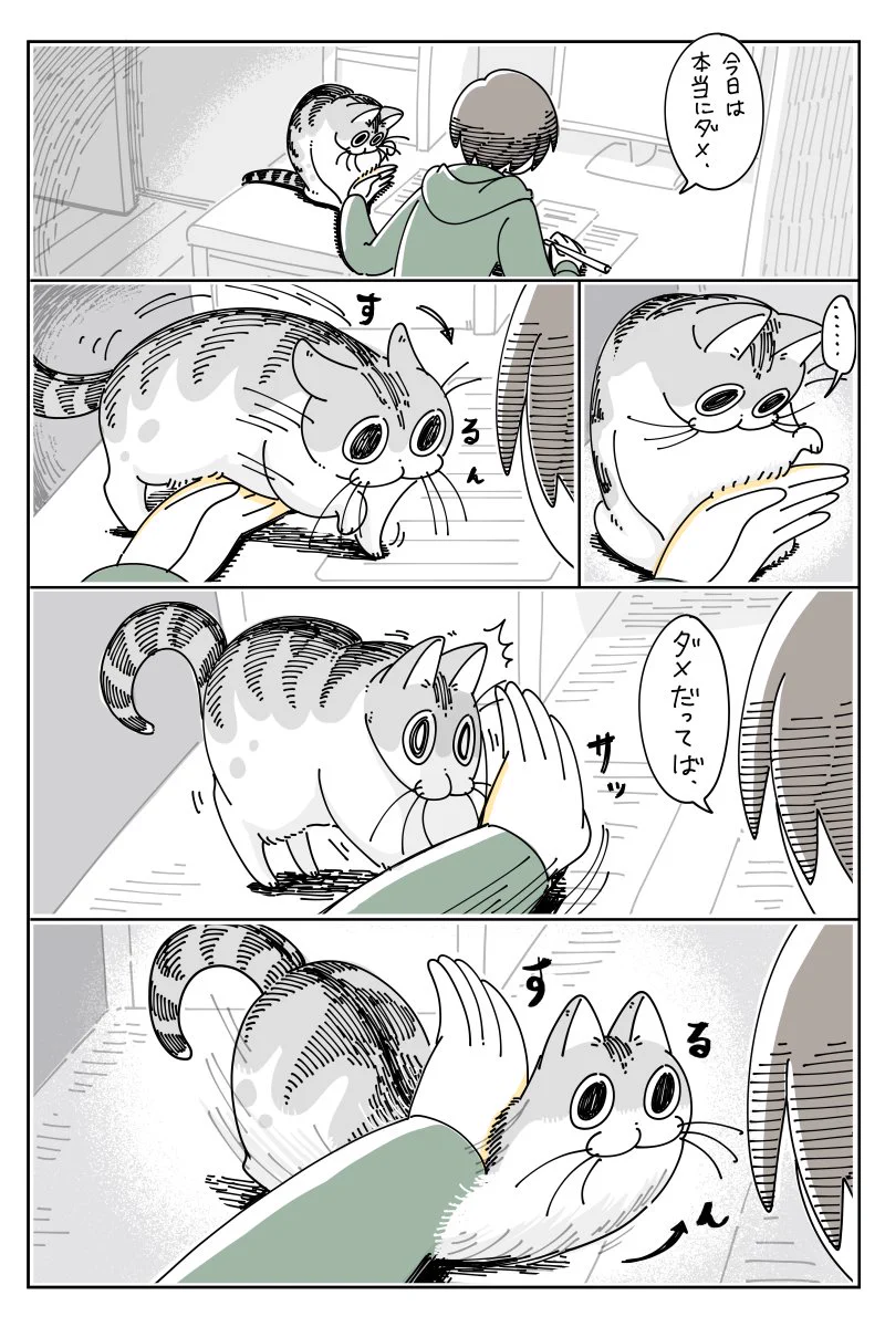 思惑通りにならないところもまた可愛い！作業を巡る、猫との攻防を描いた癒し漫画！