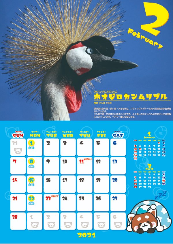 静岡市動物園協会 公式 21年日本平動物園カレンダー紹介 2月 フライングメガ ドーム内の中央デッキの屋根にとまり 圧倒的な存在感を示す ホオジロカンムリヅル が2月を飾ります 日本平動物園 動物園 カレンダー 21年 カレンダー
