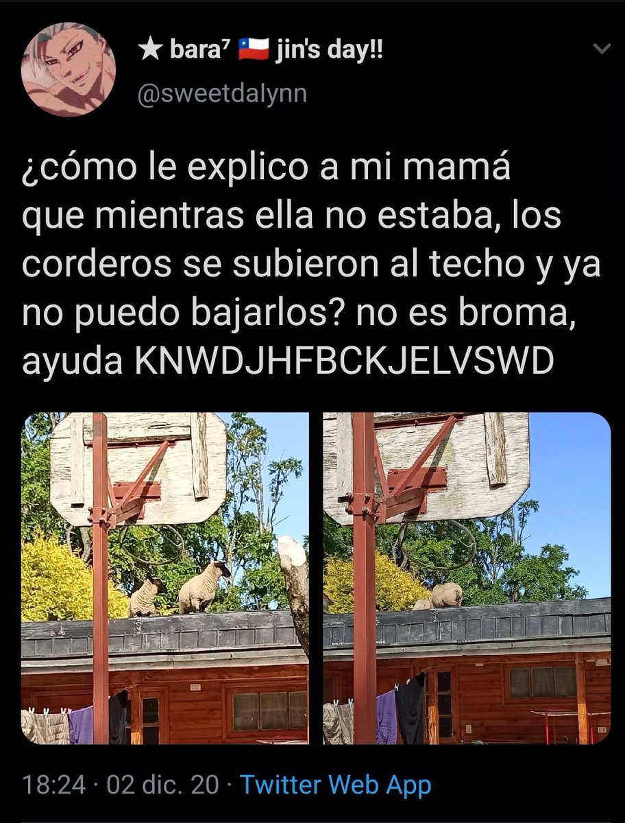 kpopconpebre's tweet photo. COMO CHUCHA SUBIERON???? https://t.co/ia1ZKPGGsv