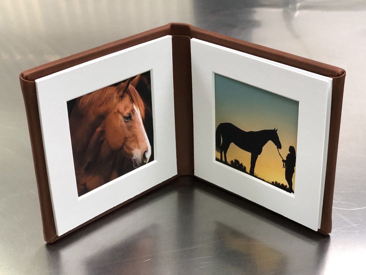 There is still time to order! Deals extended, $50 off &amp; FREE Mini Folio visionart.com/blog/2020-blac…