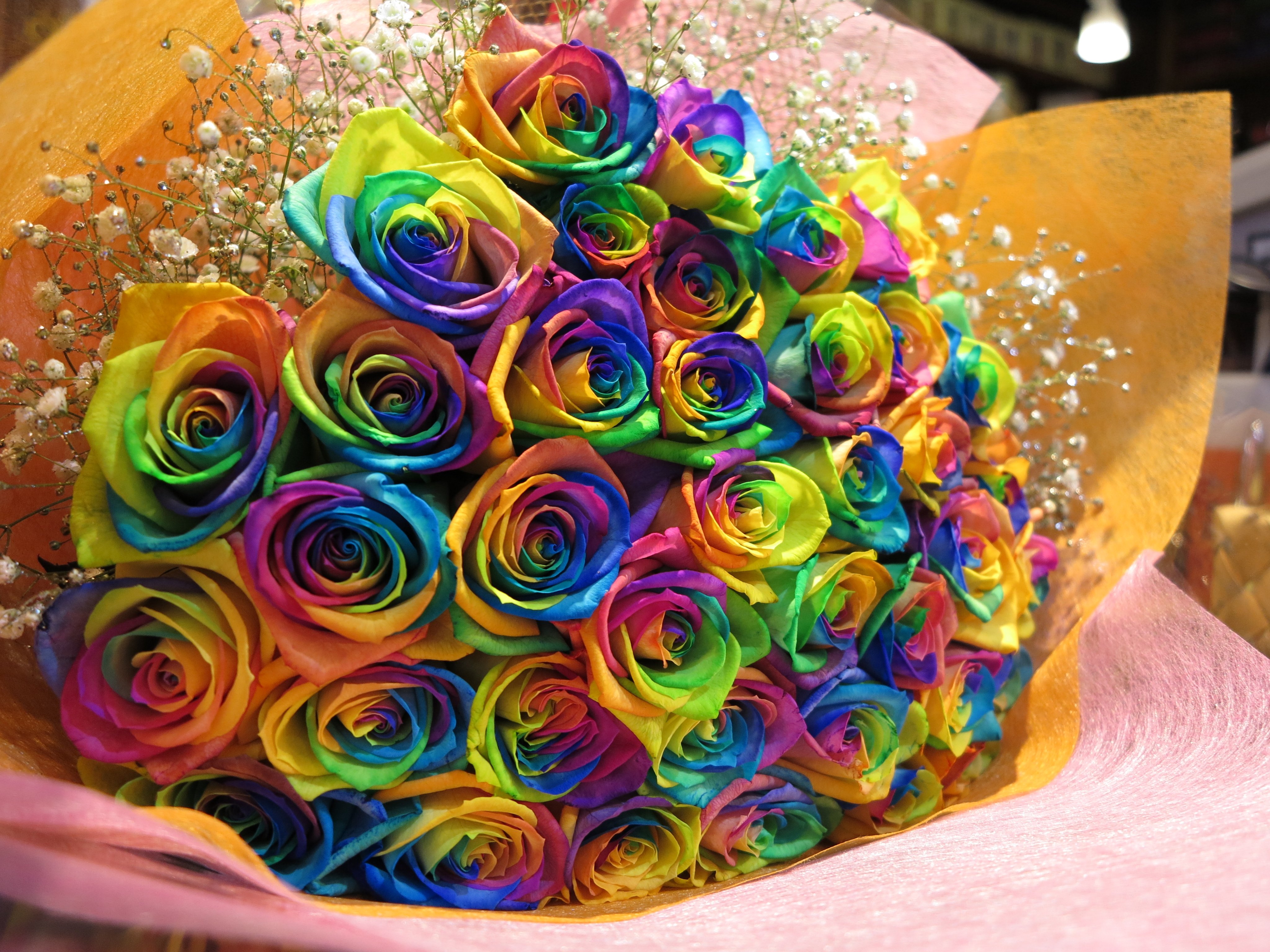 ローズショップ レインボーローズ オランダから空輸された花言葉 奇跡 のレインボーローズ T Co Rytdgstr8v Rainbowrose 七色のバラ れいんぼーろーず T Co Nsnkxjk5xl Twitter