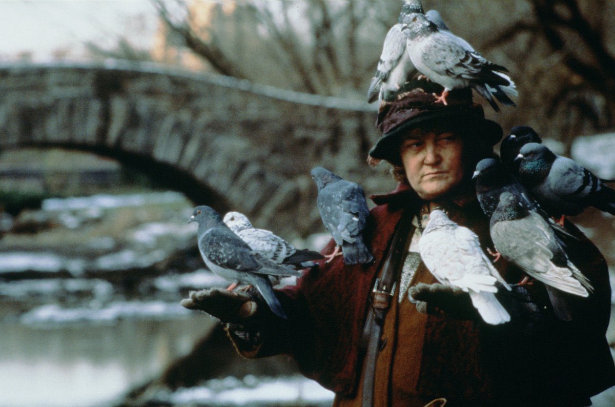 ༄: I don’t know why I picture this from reading what you wrote. But I imagine this lady from Home Alone 2 as Akane except the pigeons being bats. XD