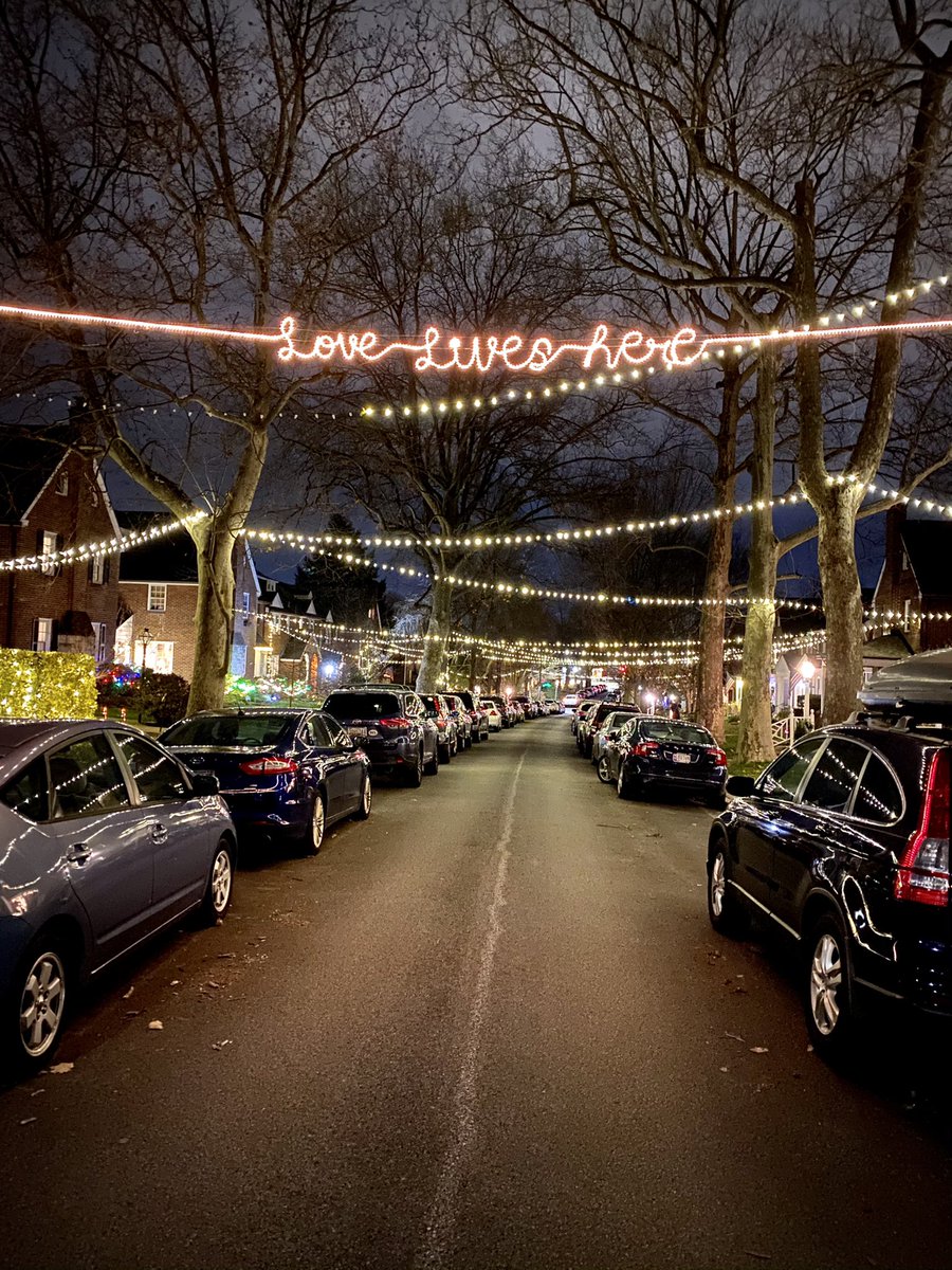 laccommisso's tweet photo. @MonicaLewinsky My street decided to connect all our houses together with lights. Because we’re all, literally, in this together. 

#loveliveshere #2020hasnothingonus https://t.co/Fx3NVBmMLs