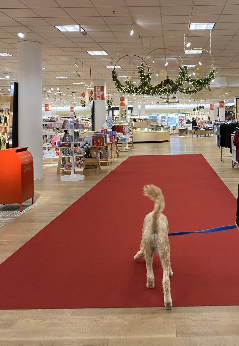 StolarskiE's tweet photo. That wonderful holiday feeling when you walk into @Nordstrom for the first time in December. It’s the little things. https://t.co/Yx0oUDrSJv