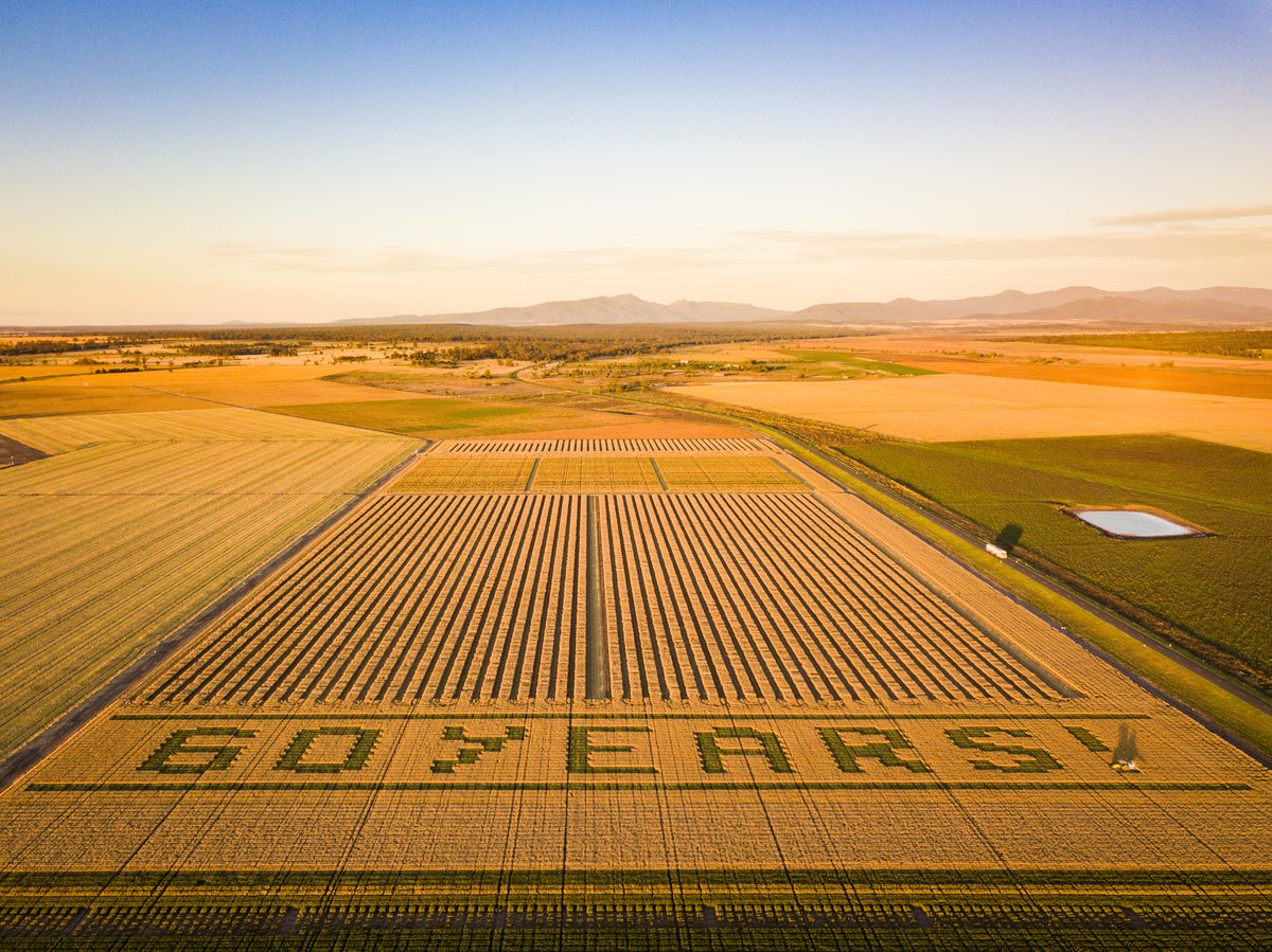 PBI Narrabri (@pbinarrabri) on Twitter photo This year marks 60 years of field experiments at the PBI Narrabri! To celebrate, we planted <a href="/agtbreeding/">AGT</a> SUNPRIME and SUNLAMB wheat varieties using the same involved process that we would to plant our field experiments🌾<a href="/theGRDC/">GRDC</a> <a href="/SiaSydney/">Sydney Agriculture</a> <a href="/SydneySOLES/">Sydney Uni Life&Env</a> <a href="/Sydney_Science/">Sydney Science</a> This year marks 60 years of field experiments at the PBI Narrabri! To celebrate, we planted <a href="/agtbreeding/">AGT</a> SUNPRIME and SUNLAMB wheat varieties using the same involved process that we would to plant our field experiments🌾<a href="/theGRDC/">GRDC</a> <a href="/SiaSydney/">Sydney Agriculture</a> <a href="/SydneySOLES/">Sydney Uni Life&Env</a> <a href="/Sydney_Science/">Sydney Science</a>