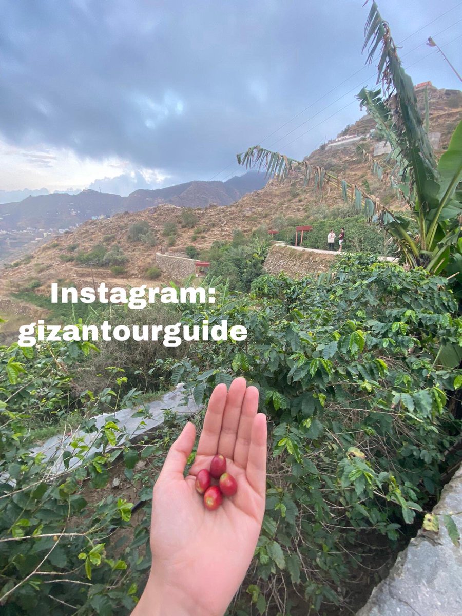 JazanTours's tweet photo. In jazan region u find fascinating islands n amazing mountains 😍 #روح_السعوديه #جزيرة_فرسان #جازان_الفل #السياحة_الداخلية #وزارة_الثقافة #سياحة_سفر #لجب #فيفا #البن
#hike #adventuretime #explore #mountans #farasan #travel #enjoy_saudi
#visitsaudi #saudiarabianholidays # https://t.co/li0LADspIV