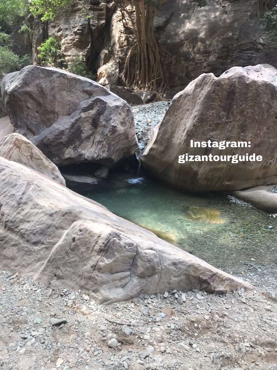 JazanTours's tweet photo. In jazan region u find fascinating islands n amazing mountains 😍 #روح_السعوديه #جزيرة_فرسان #جازان_الفل #السياحة_الداخلية #وزارة_الثقافة #سياحة_سفر #لجب #فيفا #البن
#hike #adventuretime #explore #mountans #farasan #travel #enjoy_saudi
#visitsaudi #saudiarabianholidays # https://t.co/li0LADspIV