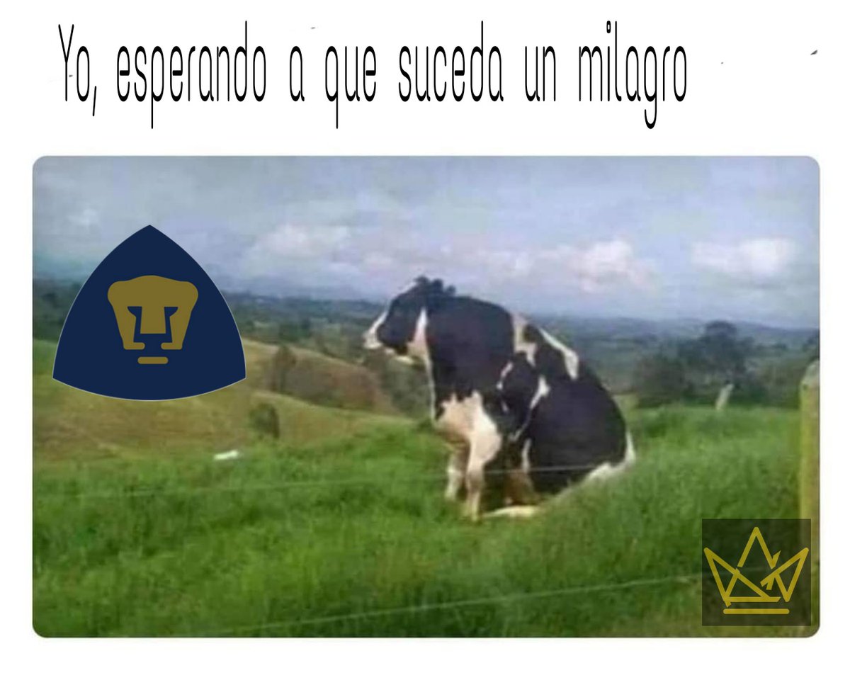 dobyadn's tweet image. Los milagros existen!!!