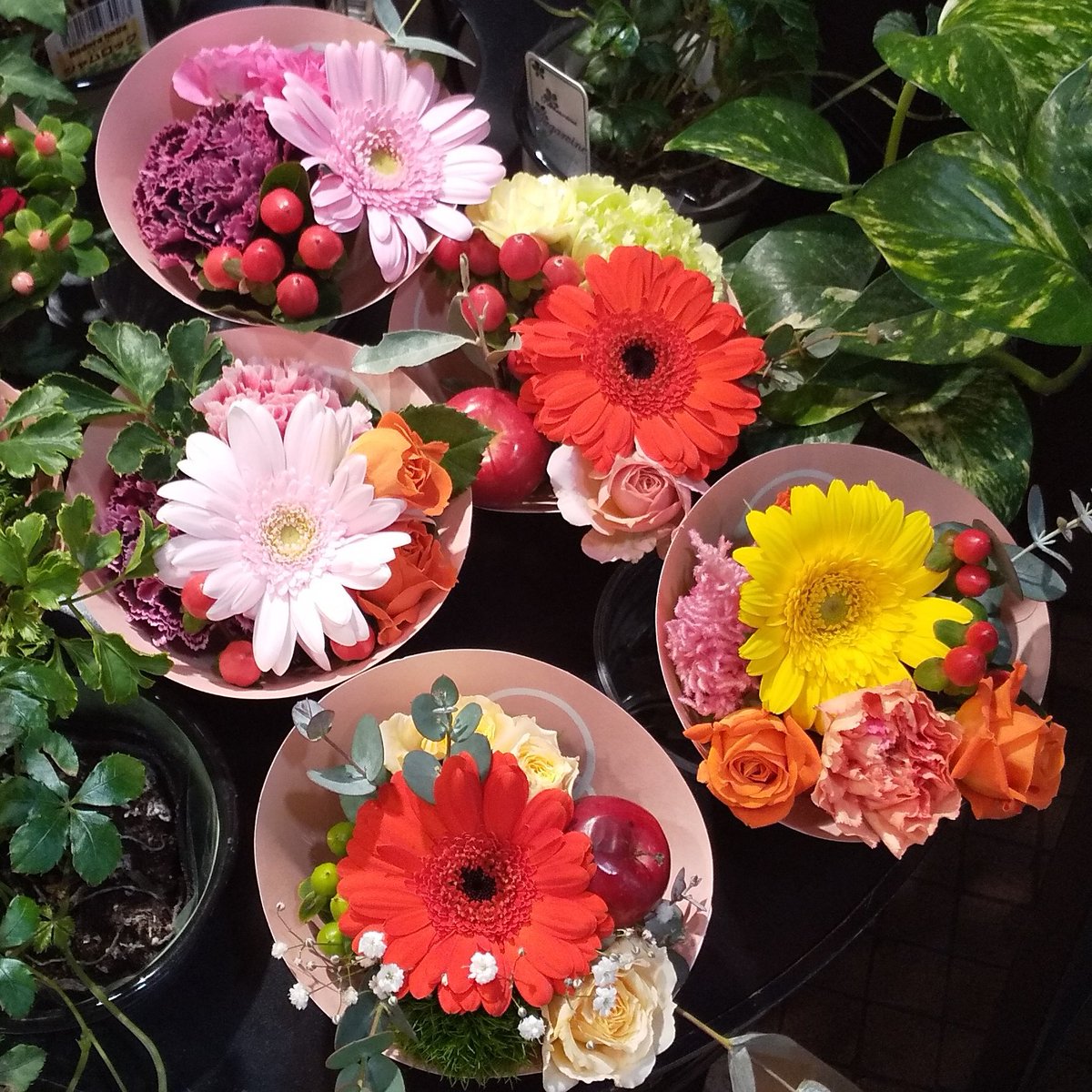 狩野哲夫 初冬 花屋でクリスマスの季節を 彩る花束 ガーベラ 赤 ピンク 白 黄 朱色の花 色々の木の実 バラの花 様々な 花束の組合せが 楽しい雰囲気を演出する 花のアレンジメント ピンクのカーネーション 白い小菊 チョコレートコスモス 色の 狩野哲夫 初冬 花屋でクリスマスの季節を 彩る花束 ガーベラ 赤 ピンク 白 黄 朱色の花 色々の木の実 バラの花 様々な 花束の組合せが 楽しい雰囲気を演出する 花のアレンジメント ピンクのカーネーション 白い小菊 チョコレートコスモス 色の