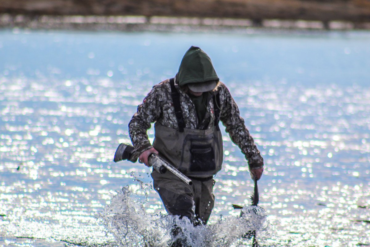 ChaseGalley's tweet photo. Nothing beats September but man I love hunting ducks from November on! #waterfowl #brothersinthewild https://t.co/jw5QJYot3T