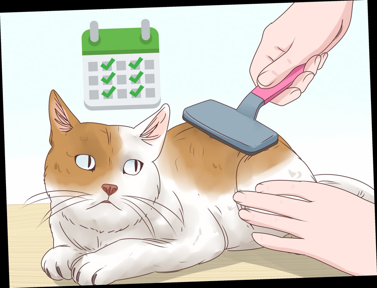 my cat can't hack up a hairball / Twitter